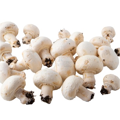 Шампиньоны свежие 500 г - купить в Ильинке